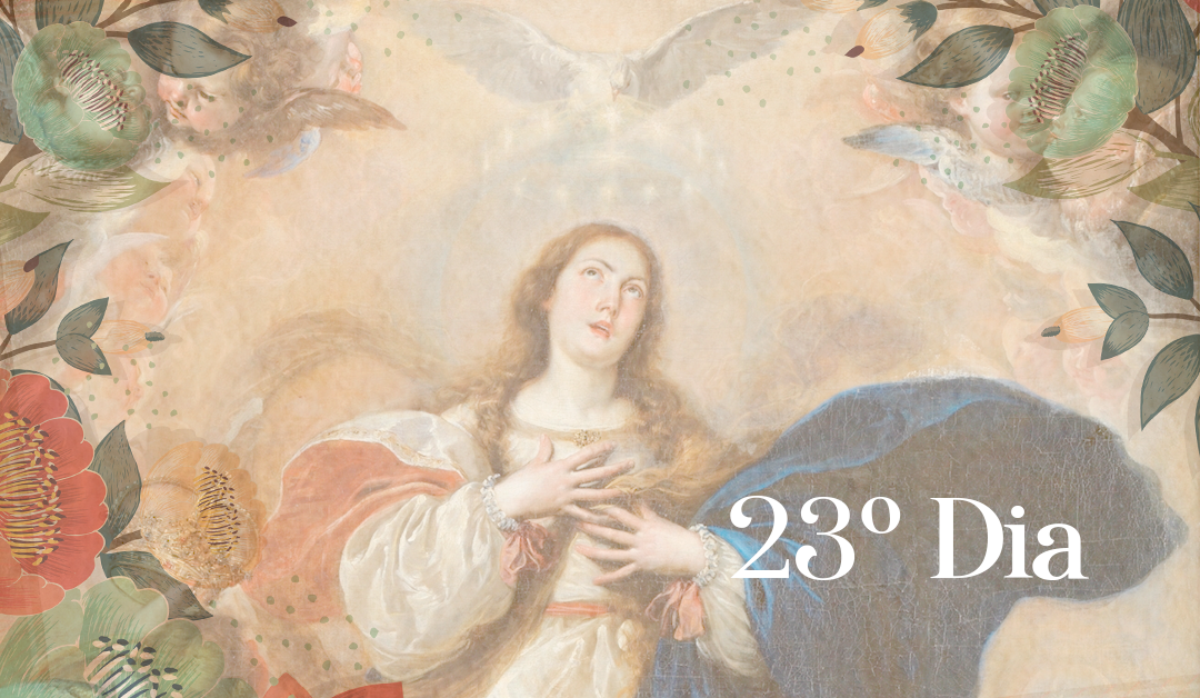 23º Dia: A Rainha do Céu no Reino da Divina Vontade. Soa a primeira hora de dor. Uma estrela com voz muda chama os Magos para adorar Jesus. Um profeta é revelador das dores da Soberana Rainha.