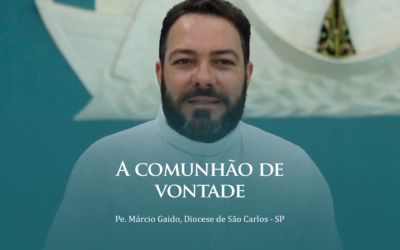 A comunhão de vontade – Pe. Márcio Gaido  | #Video01